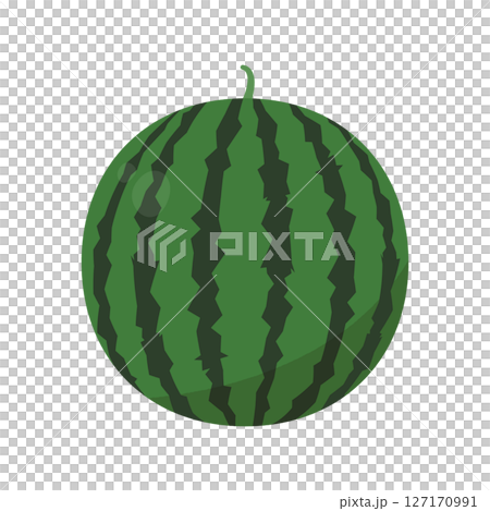 Watermelon vector illustration. Clip art of a large watermelon. 127170991