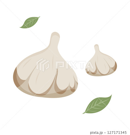 Two garlic cloves and green leaves create a simple culinary illustration. Two garlic cloves and green leaves create a simple culinary illustration. 127171345