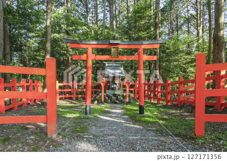 新緑に包まれた八大神社　常磐稲荷社（京都府京都市左京区一乗寺） 127171356