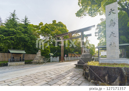和泉國一之宮 朝日を浴びる大鳥大社 西大鳥居(大阪府堺市西区鳳北町) 和泉國一之宮 朝日を浴びる大鳥大社 西大鳥居(大阪府堺市西区鳳北町) 127171357