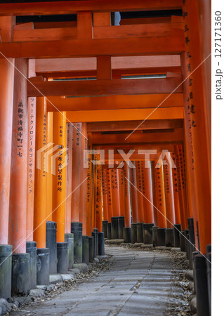 京都 伏見稲荷大社 密に立ち並ぶ千本鳥居 京都 伏見稲荷大社 密に立ち並ぶ千本鳥居 127171360