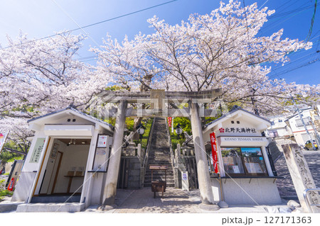 春の神戸 北野天満神社 石鳥居と満開の桜 春の神戸 北野天満神社 石鳥居と満開の桜 127171363