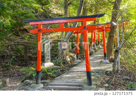 上賀茂神社　二葉姫稲荷神社の参道（京都市北区上賀茂本山） 127171375