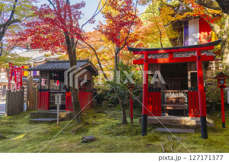 秋の京都　今熊野観音寺　紅葉に包まれた稲荷社と熊野権現社 127171377