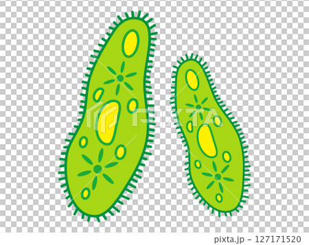 Simple illustration material of Euglena 127171520