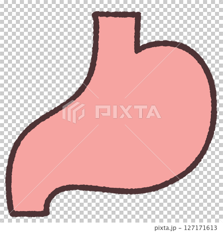 Simple stomach illustration Simple stomach illustration 127171613