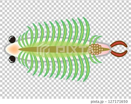 蝦子的可愛插圖素材 127171650