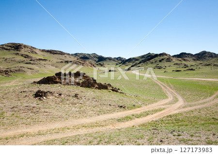 Khongoryn Els sand dunes area landscape, Mongolia 127173983
