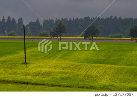 Nature landscape scene. Fields with rainy clouds Nature landscape scene. Fields with rainy clouds 127177087