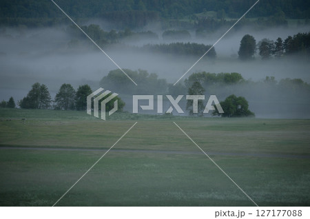 beautiful picture with river, meadow and fog beautiful picture with river, meadow and fog 127177088