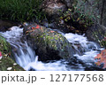 流れる小川の水 127177568