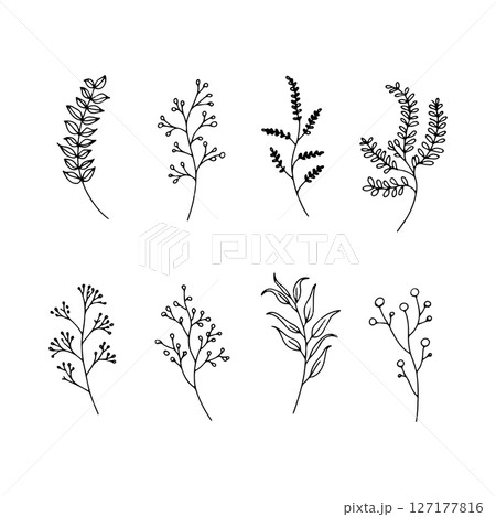 Botanical Foliage Mix. Diverse collection of hand-drawn botanical foliage, combining ferns, leaves, and herbs for natural compositions. Botanical Foliage Mix. Diverse collection of hand-drawn botanical foliage, combining ferns, leaves, and herbs for natural compositions. 127177816