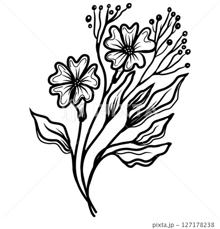 Hand Drawn Minimal Linear Vector Floral Pattern 127178238