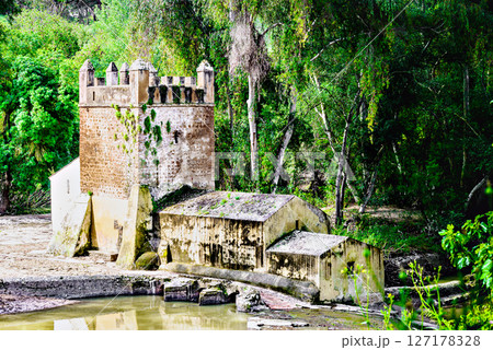 Algarrobo flour mill next to the banks of the Guadaira River, within Oromana Park in Alcala de Guadaira, Seville	 127178328