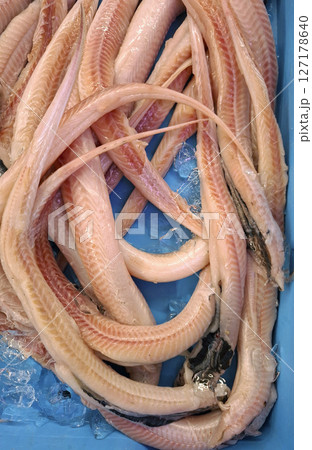 Freshly cleaned eel carcasses are showcased at the bustling Denia fish market, a prime destination for seafood lovers in Spain. Colorful and inviting, the display highlights local offerings. 127178640