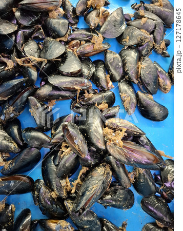 A vibrant display of freshly harvested mussels at the Denia fish market in Spain highlights the region's rich seafood offerings. Customers explore the market's selections. A vibrant display of freshly harvested mussels at the Denia fish market in Spain highlights the region's rich seafood offerings. Customers explore the market's selections. 127178645