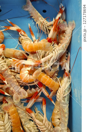 Small lobsters are displayed in a vibrant blue container at Denia fish market in Spain. The market buzzes with activity as customers choose fresh seafood. Small lobsters are displayed in a vibrant blue container at Denia fish market in Spain. The market buzzes with activity as customers choose fresh seafood. 127178694