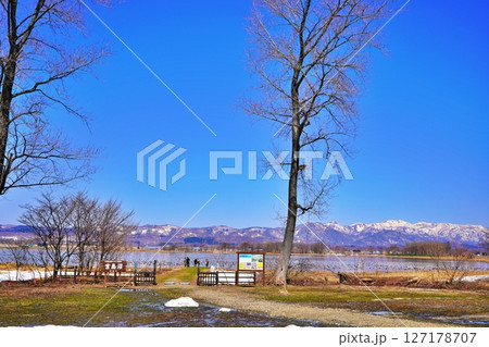 マガンの寄留地「宮島沼」の風景 マガンの寄留地「宮島沼」の風景 127178707