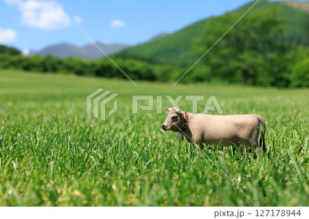 牧場と牛のフィギュア 127178944