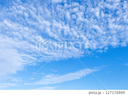 青空とうろこ雲 127178999