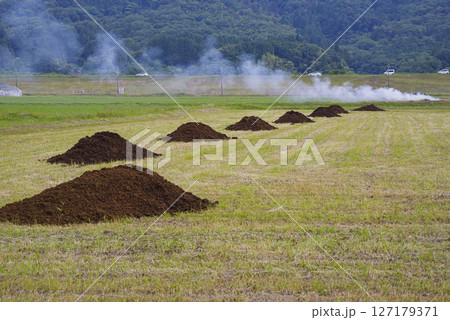 牛ふん堆肥で土づくりを行う農地の風景 牛ふん堆肥で土づくりを行う農地の風景 127179371