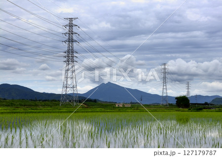 ロマンチック茨城（筑波山を望む田植えを終えたばかりの初夏の風景。石岡市恋瀬川付近の田園風景です。） 127179787