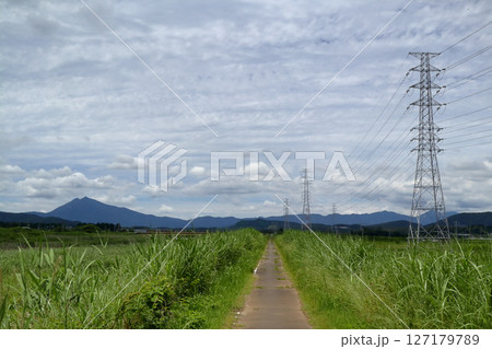 ロマンチック茨城（カントリーロード石岡市恋瀬川の河川敷の道。手前に筑波山を望むサイクリングロード。） 127179789