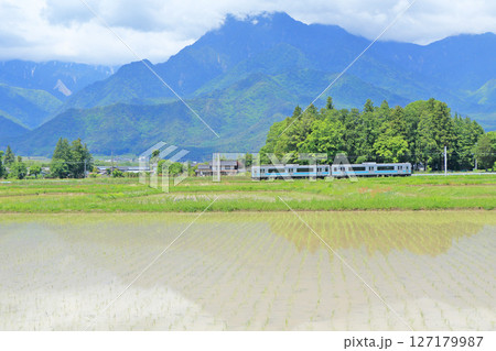 大糸線　初夏の安曇野 127179987