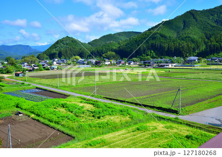 新大越路橋からの眺め　田園風景　思川流域　鹿沼市 127180268