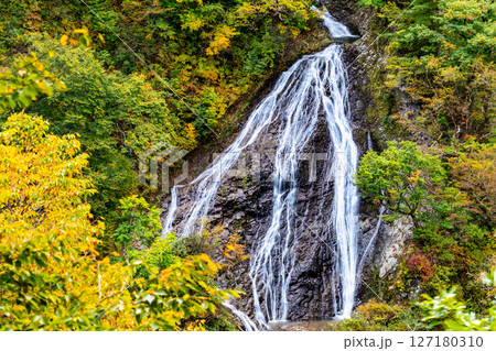 山形　黄葉の七ツ滝 127180310