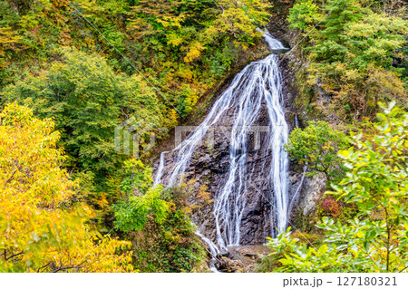 山形 黄葉の七ツ滝 山形 黄葉の七ツ滝 127180321