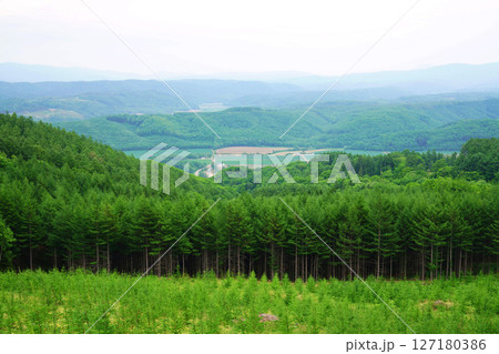 山頂から望む新緑の風景 北海道 山頂から望む新緑の風景 北海道 127180386