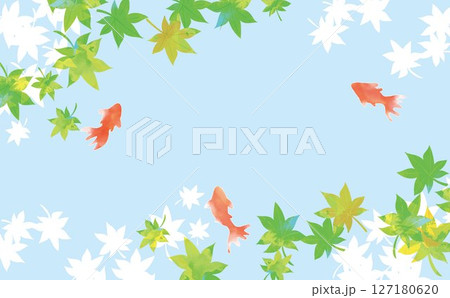 爽やかな水彩風金魚　夏　和風 127180620