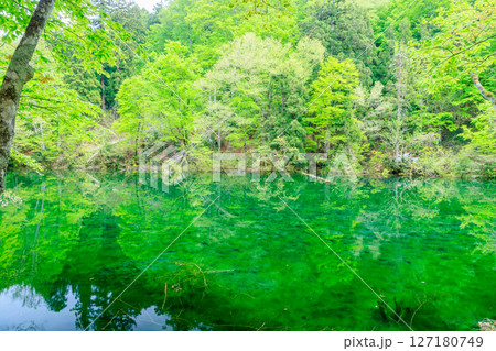 初夏の龍ヶ窪　新潟県中魚沼郡 127180749