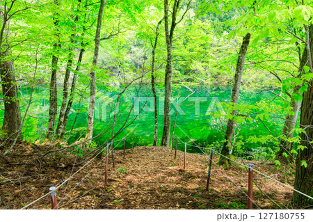 初夏の龍ヶ窪　新潟県中魚沼郡 127180755