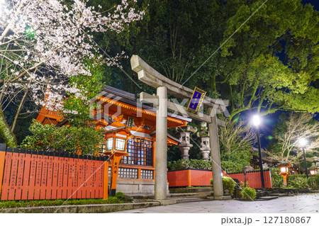 京都祇園・八坂神社　美御前社　満開の夜桜 127180867
