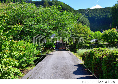 瑠璃光山　常楽寺　鹿沼市　　 127181170