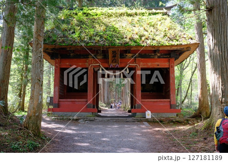 戸隠神社奥社参道の随神門と苔むした茅葺屋根 戸隠神社奥社参道の随神門と苔むした茅葺屋根 127181189