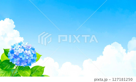 紫陽花　青空　梅雨明け 127181250