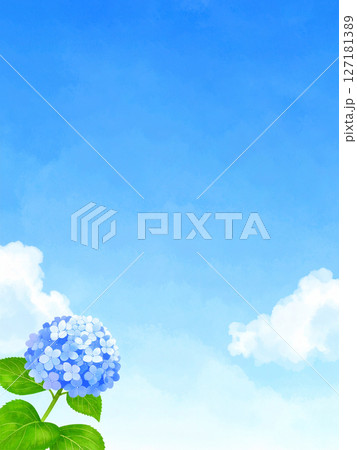 紫陽花　青空　梅雨明け 127181389