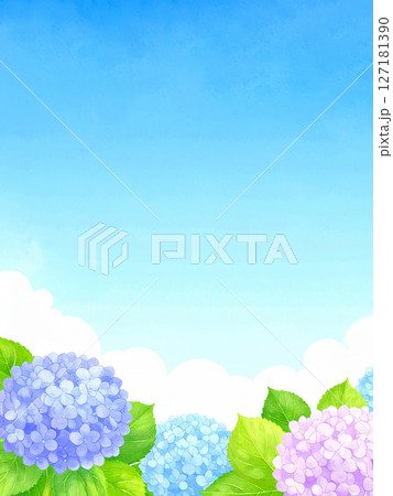 紫陽花　青空　梅雨明け 127181390