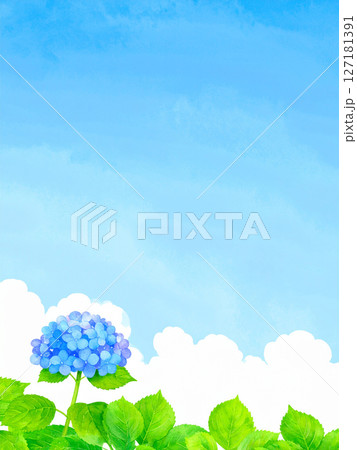 紫陽花　青空　梅雨明け 127181391