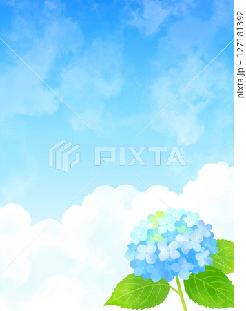 紫陽花 青空 梅雨明け 紫陽花 青空 梅雨明け 127181392