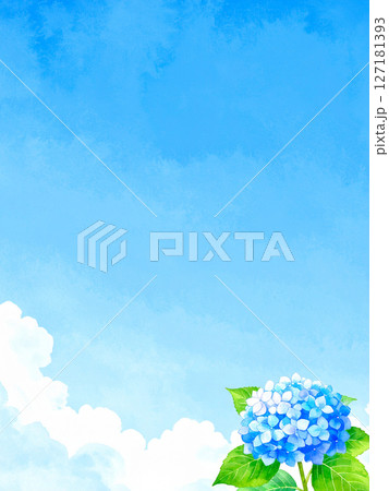 紫陽花　青空　梅雨明け 127181393