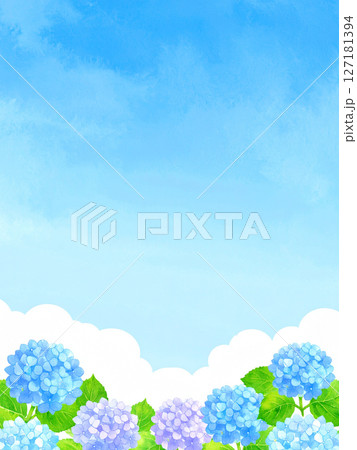 紫陽花　青空　梅雨明け 127181394