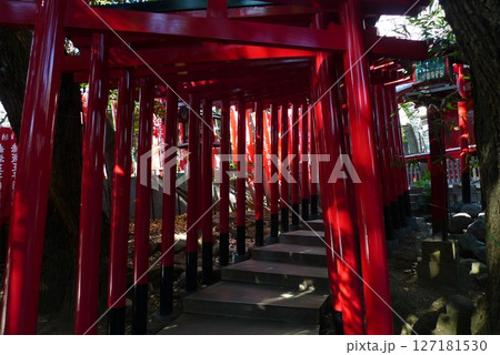 乃木神社境内に小さな社を構える赤坂王子稲荷神社 乃木神社境内に小さな社を構える赤坂王子稲荷神社 127181530