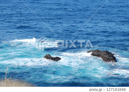 伊豆半島　石廊崎　 127181698