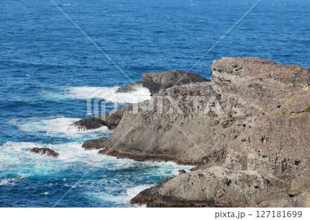 伊豆半島　石廊崎　 127181699