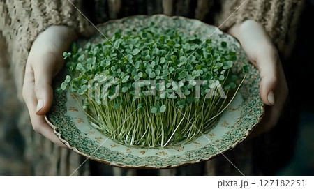 Hands holding a vintage plate overflowing with vibrant green mic 127182251