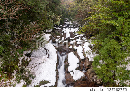 屋久島白谷雲水峡の森(1月)極寒の神が住む渓流渓谷 127182776